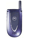 Best available price of Motorola V66i in Afghanistan
